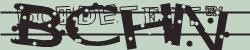 Please input captcha code