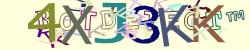 Please input captcha code