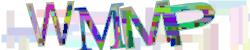 Please input captcha code