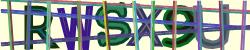 Please input captcha code