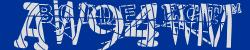 Please input captcha code