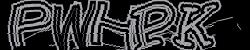 Please input captcha code