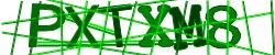 Please input captcha code