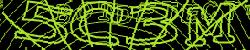 Please input captcha code