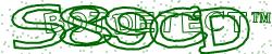 Please input captcha code