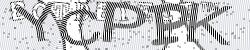 Please input captcha code