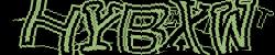 Please input captcha code