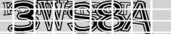 Please input captcha code