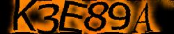 Please input captcha code