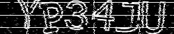 Please input captcha code