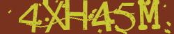 Please input captcha code