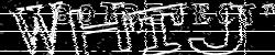 Please input captcha code