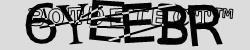 Please input captcha code