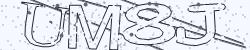 Please input captcha code
