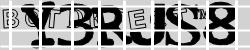 Please input captcha code