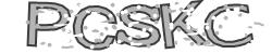 Please input captcha code