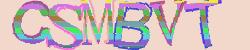 Please input captcha code