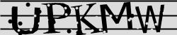 Please input captcha code
