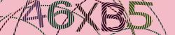 Please input captcha code