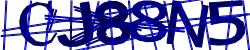 Please input captcha code