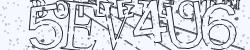 Please input captcha code