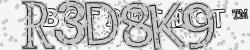 Please input captcha code