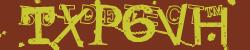 Please input captcha code