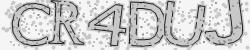 Please input captcha code
