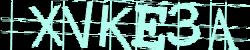 Please input captcha code