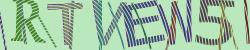 Please input captcha code