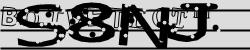 Please input captcha code