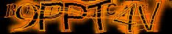Please input captcha code