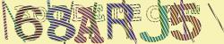 Please input captcha code