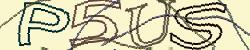 Please input captcha code