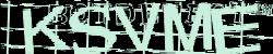 Please input captcha code