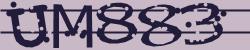 Please input captcha code