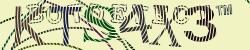 Please input captcha code