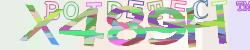 Please input captcha code