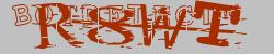Please input captcha code