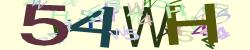 Please input captcha code