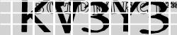 Please input captcha code