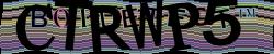 Please input captcha code