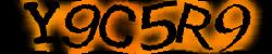 Please input captcha code