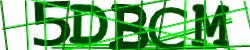 Please input captcha code