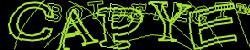 Please input captcha code