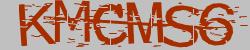 Please input captcha code