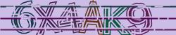 Please input captcha code