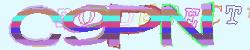 Please input captcha code