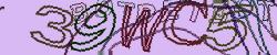 Please input captcha code