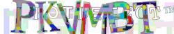 Please input captcha code
